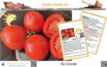Tomate * Rio Grande * 50 Samen